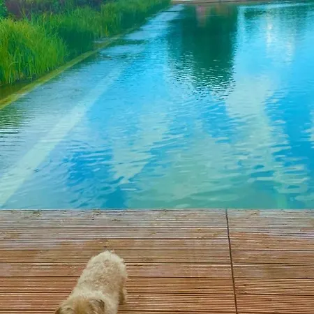 Mit Grossem Balkon Apartamento