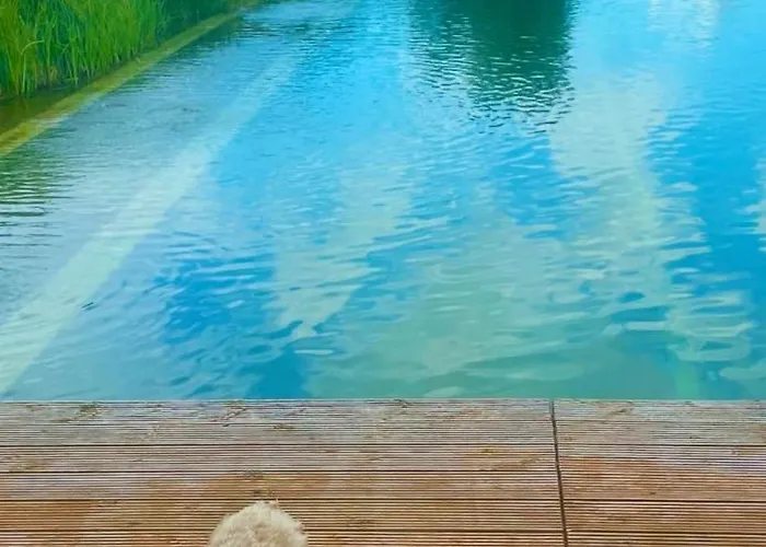 Mit Grossem Balkon 아파트